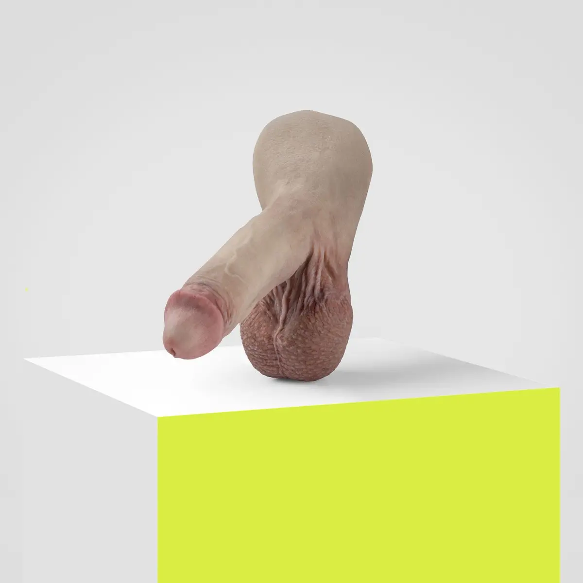 Emisil Er05 | Bold Hyper-Realistic Pack & Play Model 1