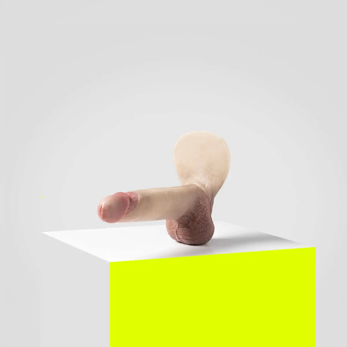 Emisil Er08 | Artist Edition Pack & Play Model 1