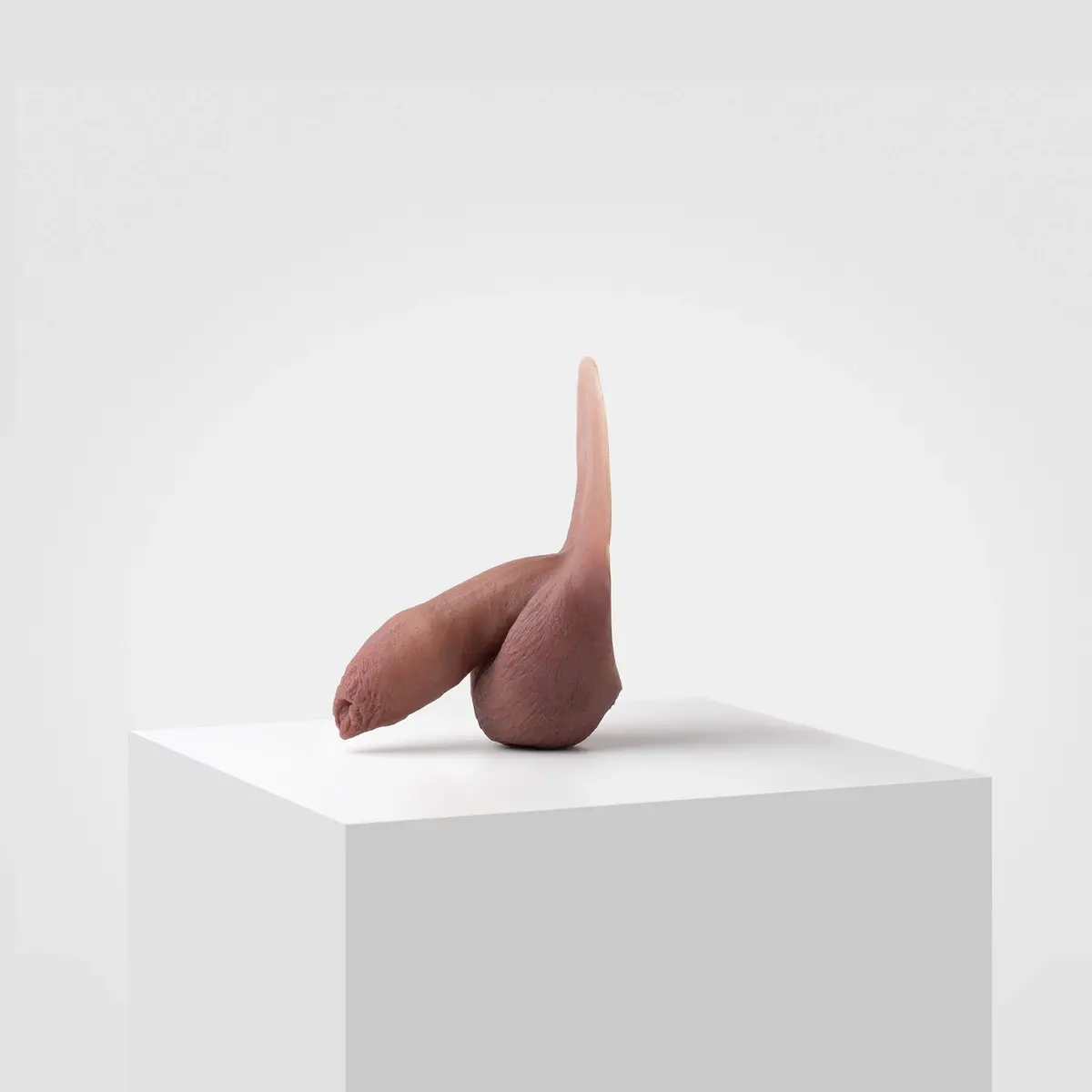 Emisil Fl05 | Realistic Uncut Ftm Packing Model 1
