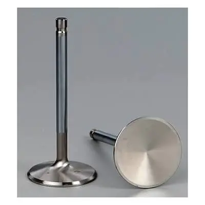 Edelbrock 97041 Stainless Steel Valve Set 1